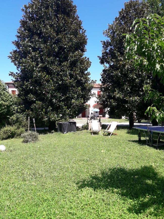 Tenuta Crescentini-Vallemura ,Appartamenti Con Entrata Indipendente 산도나디피아베 외부 사진