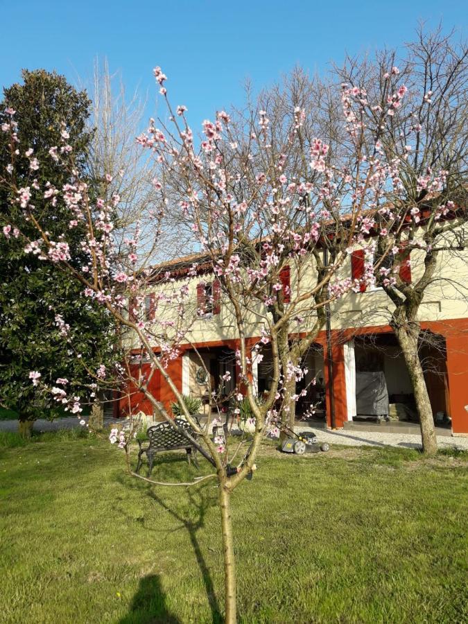 Tenuta Crescentini-Vallemura ,Appartamenti Con Entrata Indipendente 산도나디피아베 외부 사진