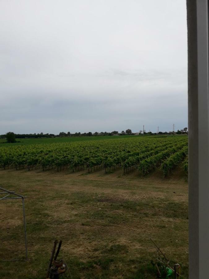Tenuta Crescentini-Vallemura ,Appartamenti Con Entrata Indipendente 산도나디피아베 외부 사진