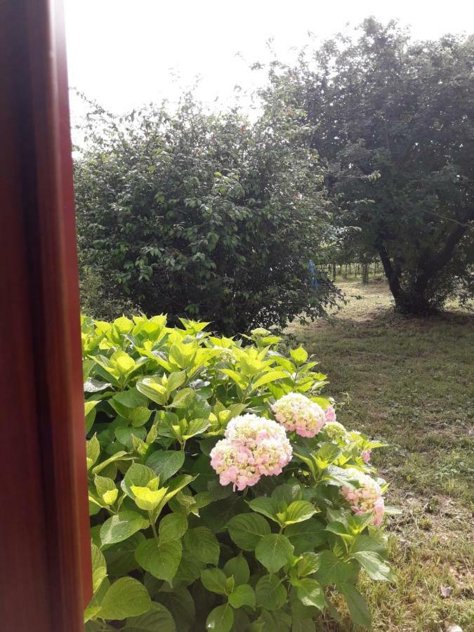 Tenuta Crescentini-Vallemura ,Appartamenti Con Entrata Indipendente 산도나디피아베 외부 사진
