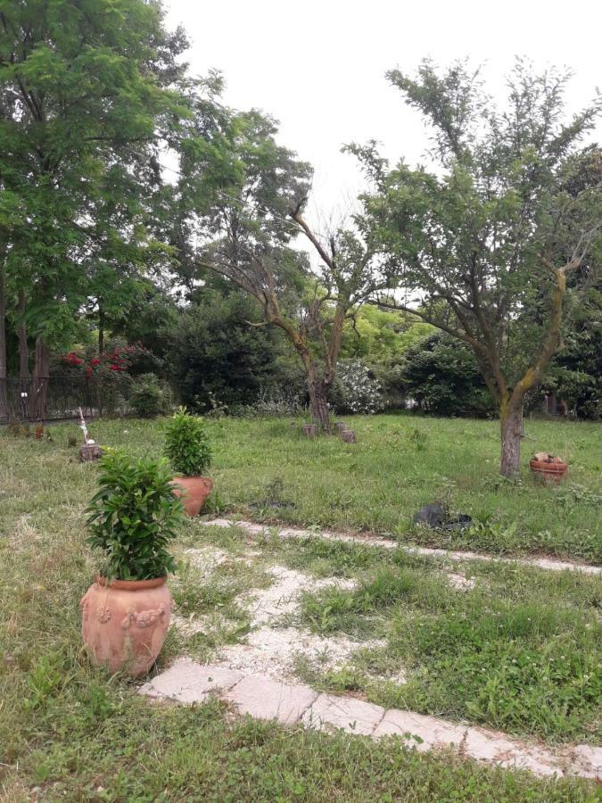 Tenuta Crescentini-Vallemura ,Appartamenti Con Entrata Indipendente 산도나디피아베 외부 사진