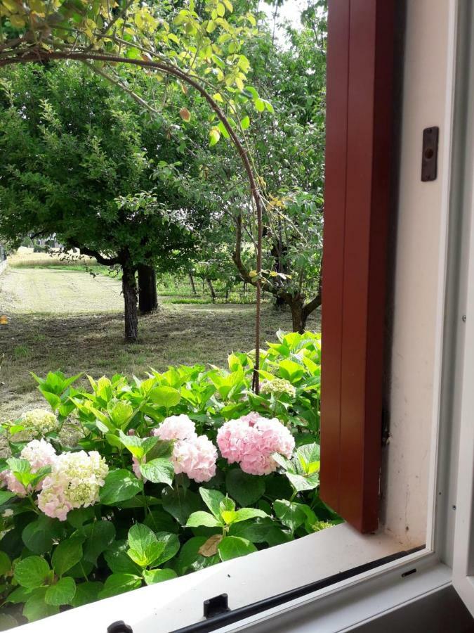 Tenuta Crescentini-Vallemura ,Appartamenti Con Entrata Indipendente 산도나디피아베 외부 사진