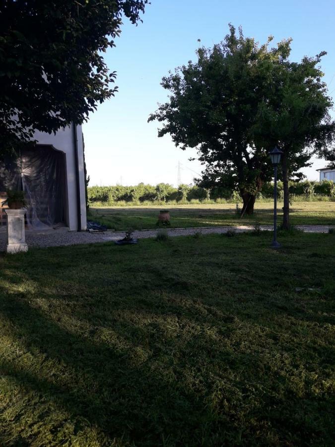 Tenuta Crescentini-Vallemura ,Appartamenti Con Entrata Indipendente 산도나디피아베 외부 사진
