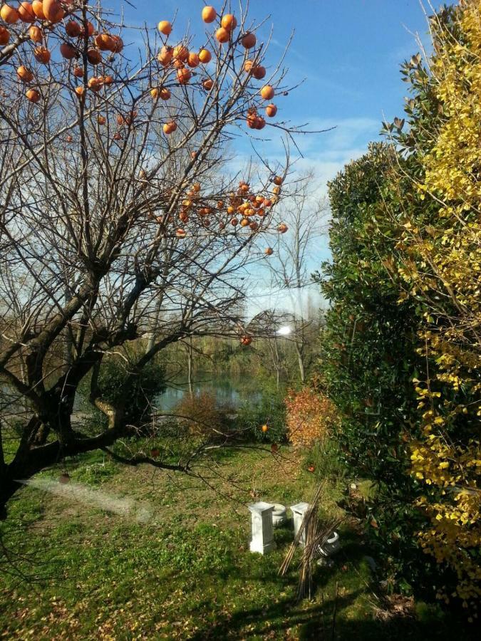 Tenuta Crescentini-Vallemura ,Appartamenti Con Entrata Indipendente 산도나디피아베 외부 사진