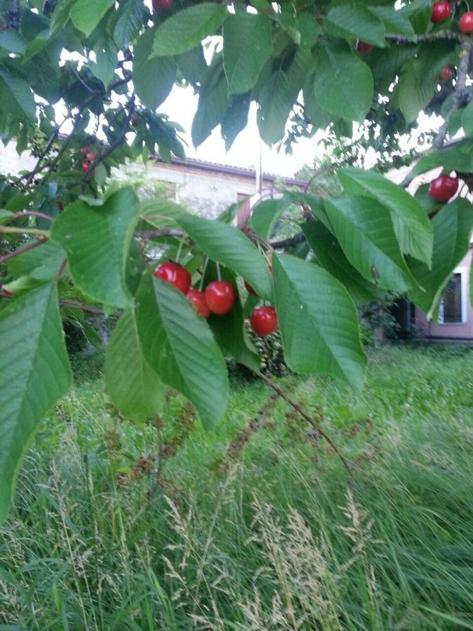 Tenuta Crescentini-Vallemura ,Appartamenti Con Entrata Indipendente 산도나디피아베 외부 사진