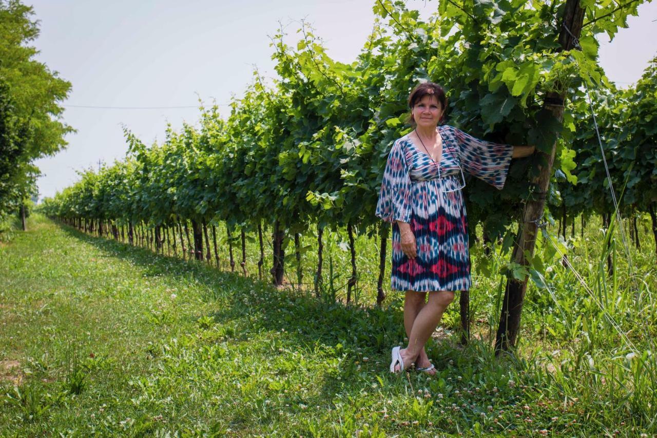 Tenuta Crescentini-Vallemura ,Appartamenti Con Entrata Indipendente 산도나디피아베 외부 사진