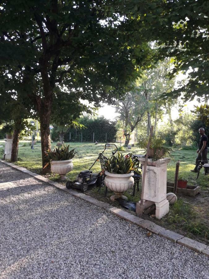 Tenuta Crescentini-Vallemura ,Appartamenti Con Entrata Indipendente 산도나디피아베 외부 사진